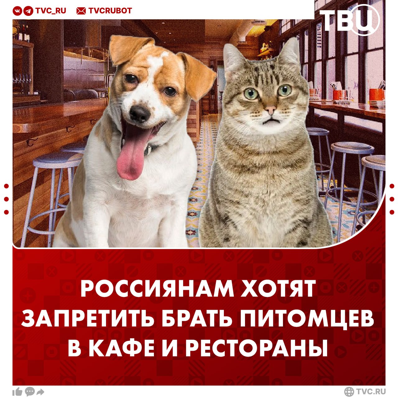 Животным вход запрещен в Госдуме хотят запретить посещать кафе с животными По нынешним правилам в местах общепита не должно быть насекомых грызунов и птиц Депутат Нина Останина считает что эти правила позволяют посетителям приходить в кафе и рестораны с домашними питомцами По её словам запрет поможет обеспечить интересы всех гостей и позитивно скажется на санитарно эпидемиологическом благополучии населения Подписаться на ТВЦ в MAX Поддерживаете запрет Да животным не место в кафе Нет они не мешают