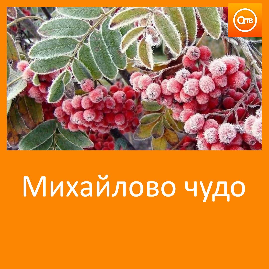 19 сентября по народному календарю отмечается Михайлов день или Михайлово чудо В это время обычно начинаются первые заморозки Предки называли их михайловскими утренниками В этот день на Руси не ходили в баню и не мыли голову Предки считали что в ином случае могут начаться проблемы с памятью Также запрещалось печь хлеб и есть мучное чтобы не навлечь неприятности в дом Согласно народным приметам если листья березы еще держатся на ветвях зима будет очень холодной Если в Михайлов день тепло осень затянется Утренний туман к теплой погоде Синие облака вечером на небе принесут перемену в погоде
