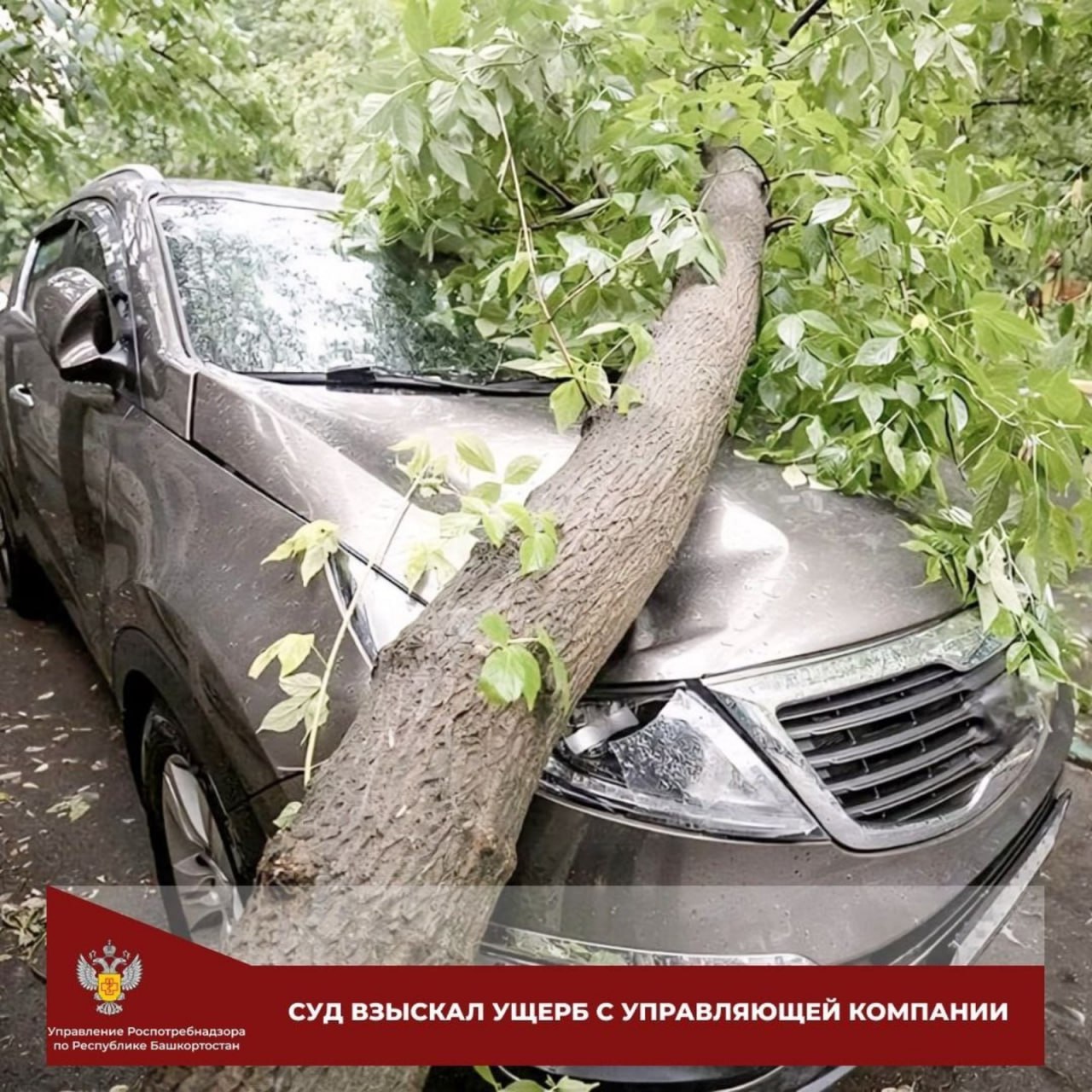 Житель Уфы взыскал с управляющей компании ущерб за упавшее на машину дерево Почти полмиллиона рублей взыскал уфимец за свой автомобиль искореженный упавшим деревом Отсудить у управляющей компании ущерб пострадавшему помогли специалисты Роспотребнадзора В суде удалось доказать что зеленое насаждение упало из за ненадлежащего содержания придомовой территории С ЖЭУ взыскали 427 тысяч за ремонт автомобиля 4 5 тысячи рублей за расходы на экспертизу и 30 тысяч за услуги представителя В Роспотребнадзоре напоминают что по статье 14 Закона О защите прав потребителей вред причиненный имуществу потребителя из за необеспечения безопасности товара или услуги подлежит возмещению в полном объеме Источник Башинформ Подпишитесь на ufa rb