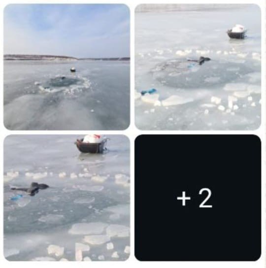 13 летний подросток утонул в Советской Гавани В районе лодочного причала бухты Эгге в Советской Гавань обнаружено тело 13 летнего подростка В соцсетях также сообщается что с ним был мужчина чье тело не нашли Городские спасатели извлекли подростка из воды и передали сотрудникам полиции Проводятся следственные мероприятия по установлению обстоятельств происшествия сообщили в управлении МЧС России по Хабаровскому краю Будь в курсе событий везде ОК VK MAX