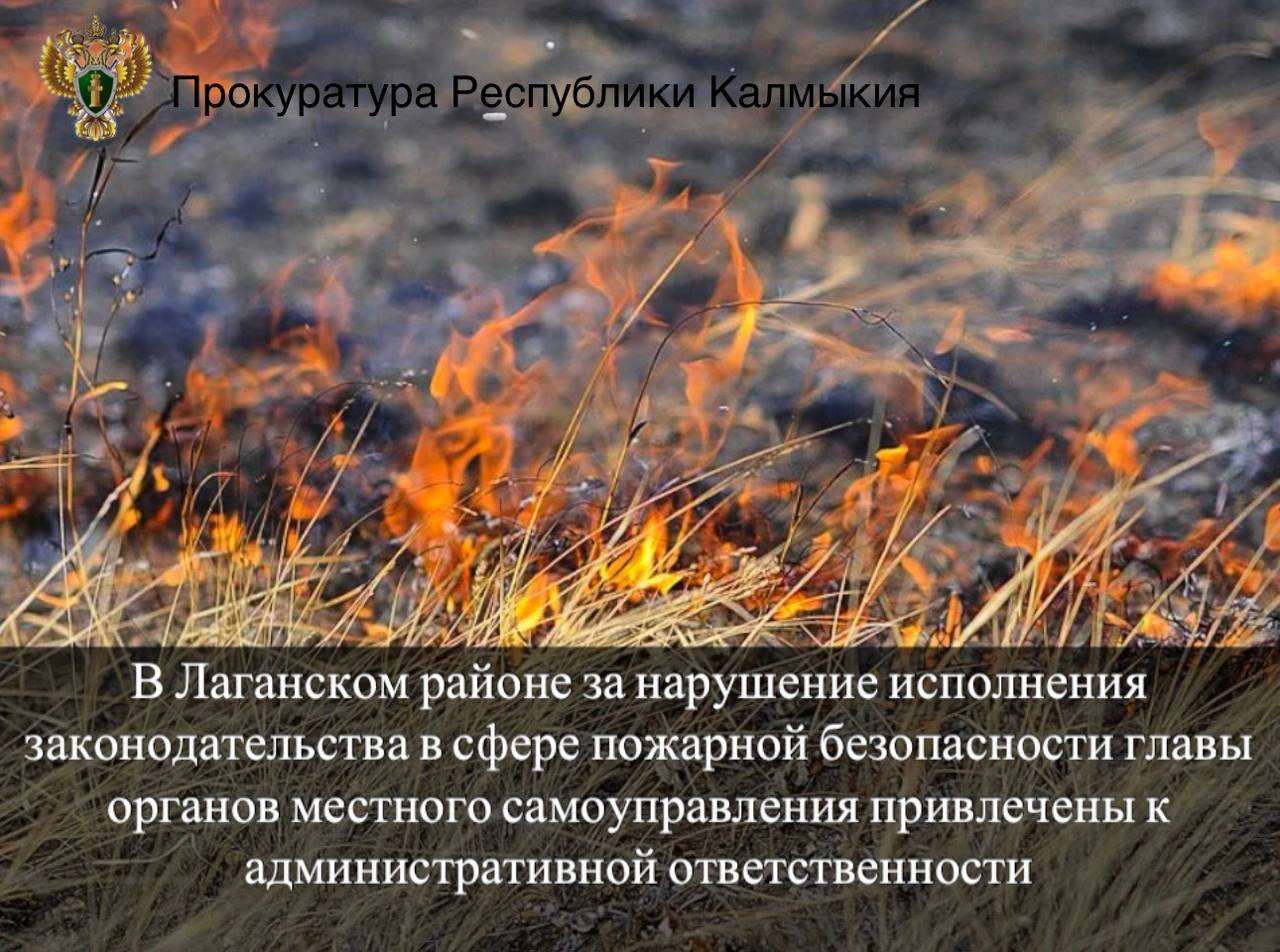 Прокуратура Лаганского района пресекла нарушения пожарной безопасности на свалках Прокуратурой Лаганского района проведена проверка соблюдения требований пожарной безопасности в селах Красинское и Улан-хол. Установлено, что на территории поселений накапливались свалки горючих отходов: камышитовых плит, сухих веток и порубочных остатков, что создавало угрозу возгорания. По результатам проверки прокурор внес представления главам сельских администраций, что привело к устранению нарушений. Виновные лица — руководители Красинского и Уланхольского СМО — привлечены к административной ответственности. Фото: kalmprok - Прокуратура Республики Калмыкия Быть в курсе Прислать новость
