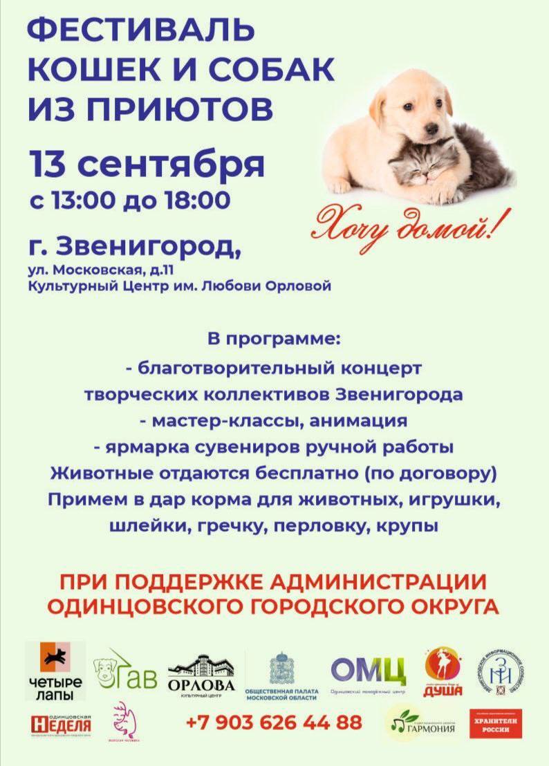 В субботу 13 сентября с 13 00 до 18 00 в Звенигороде пройдёт благотворительная выставка кошек и собак из приютов Понравившееся животное можно будет забрать бесплатно по договору ответственного содержания при себе нужно иметь паспорт Кроме того посетители выставки смогут помочь приютам принеся в дар корма для животных игрушки шлейки гречку перловку крупы В программе благотворительный концерт звенигородских творческих коллективов мастер классы и анимация ярмарка сувениров ручной работы Площадкой акции станет культурный центр имени Любови Орловой Московская улица 11 odintsovoBot
