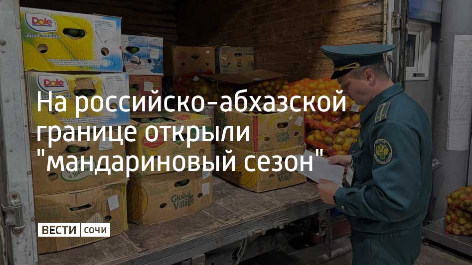 Через границу в пункте пропуска Адлер уже перевезли больше 150 тонн мандаринов Об этом сообщили представители Сочинской таможни С 14 по 15 октября границу пересекли 50 тонн мандаринов Такое раннее созревание этих плодов ученые объясняют теплой погодой в 2025 году Кроме того из Абхазии в Россию уже ввезли 67 тонн фейхоа 3 тонны хурмы 4 5 тонны лимонов и 22 тонны орехов рассказала и о начальника таможенного поста МАПП Адлер Сочинской таможни Анастасия Иваненко Всего же по ее словам из Абхазии уже импортировано больше 250 тонн сельхозпродукции В сезоне 2024 2025 годов из соседней республики через сочинских таможенников в Россию попали 36 тысяч тонн мандаринов По прогнозам поставки в сезоне 2025 2026 годов будут не ниже прошлогодних показателей