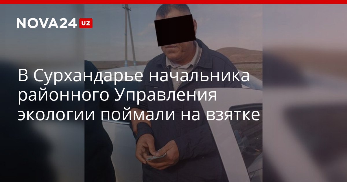 В Сурхандарье начальника районного Управления экологии поймали на взятке Чиновнику грозит до 10 лет лишения свободы nova24 uz 321021 YouTube Instagram Telegram