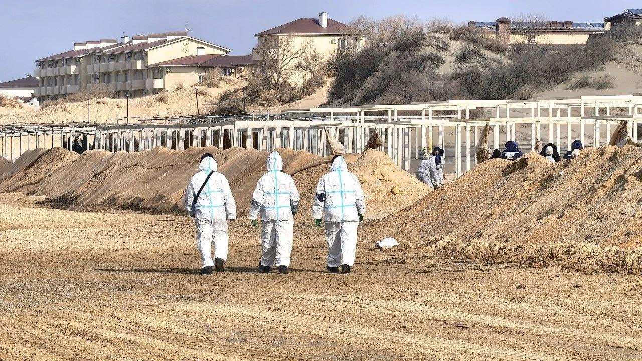 Три месяца прошло с того момента, как в Керченском проливе во время шторма потерпели крушение два танкера «Волгонефть-212» и «Волгонефть-239».    Ранее губернатор Краснодарского края говорил, что пляжи приведут в порядок к 1 марта. Но этого не случилось. Из-за потепления участились точечные выбросы мазута, потому что нефтепродукты начали всплывать со дна.  По словам представителя туроператора, галечные пляжи Сукко и Утриша не пострадали, а в Благовещенской, где изначально ситуация была одной из худших, сейчас чище всего. В Джемете и Витязево пляжи, принадлежащие крупным отелям, выглядят более чистыми, чем общественные. Всё дело в том, что владельцы турбизнеса сами закупили технику.  По данным МЧС России на утро 14 марта, в Краснодарском крае продолжают обследовать 265 километров береговой линии. Уже собрано около 150 тысяч тонн загрязненного нефтепродуктами песка.    Последние результаты проверки Роспотребнадзор опубликовал в конце февраля. Состояние воды, как и рыбы, — в пределах нормы.    Бронирование туров на лето значительно замедлилось. Есть туристы, кто уже аннулировал путевки и выбрал другие направления. Но многие сейчас находятся в режиме ожидания.  Туроператоры надеются, что в мае, после окончательного решения Роспотребнадзора, спрос в Анапу восстановится.