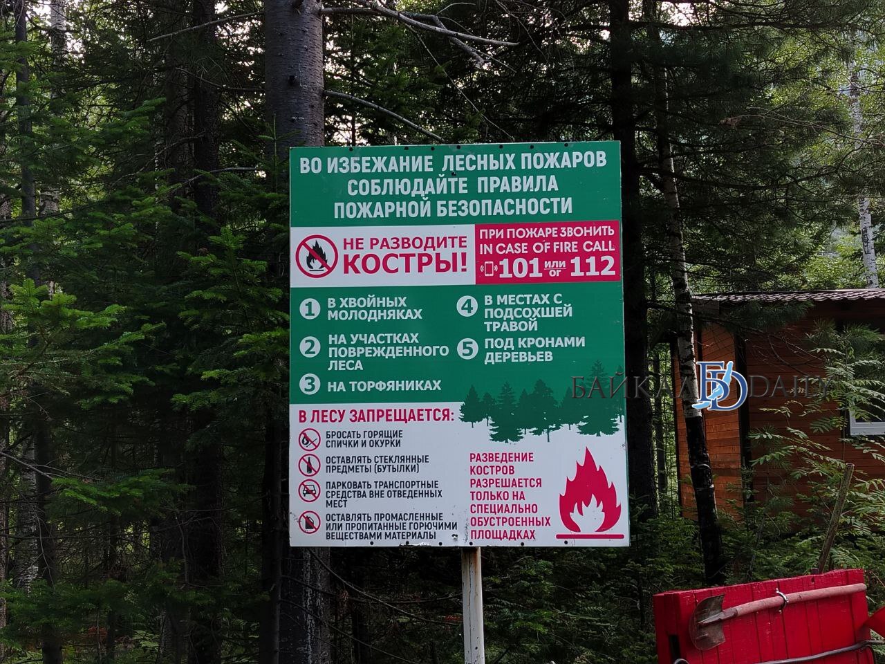 Площадь лесных пожаров в Бурятии за сутки выросла более чем в два раза и на сегодня составляет 24 698 га. Всего действуют 18 лесных пожаров: все они в Баунтовском и Еравнинском районах