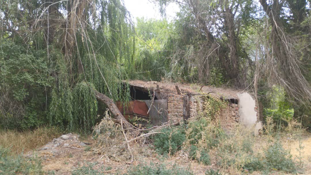 Тайник с оружием и боеприпасами обнаружили в Таласской области По данным ГКНБ КР, в ходе спецоперации в рамках борьбы с организованной преступностью, оперативники по Таласской области совместно военнослужащими Пограничной службы провели проверку в окрестностях села Маймак Айтматовского района. Всего в 50 метрах от государственной границы обнаружен схрон, в котором находились: 4 магазина к автомату Калашникова АК-47 , 1 патрон калибра 5,45 мм, 6 патронов калибра 12 мм, 2 ножа, 2 гладкоствольных ружья калибра 16 мм, 2 гладкоствольных ружья калибра 32 мм одно — обрез , 1 маска и перчатки, 2 стреляные гильзы калибра 32 мм. Сейчас по факту ведется расследование. Собранные материалы зарегистрированы в Едином реестре преступлений АИС МЭЖ , проводятся необходимые следственные действия.