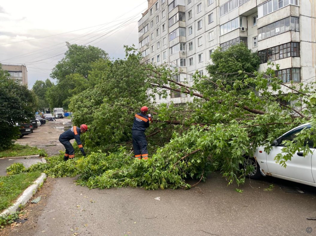 В Барнауле городские службы устраняют последствия непогоды Ночью 23 июня в краевой столице зафиксирован комплекс неблагоприятных погодных явлений. Порывы ветра достигали 18 м/с, выпало 8,3 мм осадков при месячной норме 54 мм. Всего с начала июня в Барнауле выпало уже более 147 мм осадков. В результате на территории города зарегистрировано 21 происшествие, среди которых — отключение электроэнергии, падение деревьев и веток. Сейчас в районах города продолжаются работы по распилу и вывозу порубочных остатков. Пострадавших нет. Под частичное отключение электроэнергии попала часть пригородных посёлков города. В настоящее время электроснабжение восстановлено в полном объёме. Работы по ликвидации последствий неблагоприятных метеоявлений продолжаются и находятся на контроле в администрации города и районов. ‼ Сегодня, 24 июня, на территории края ожидаются дожди, ливни, грозы и град. Ветер западный, 8-13 м/с, местами порывы 18-23 м/с, при грозах шквалы 25 м/с и более. Температура +21,+26 гр. В Барнауле продолжается ветреная погода, по прогнозу синоптиков переменная облачность. Кратковременный дождь, гроза, возможен град. Ветер западный, 8-13 м/с, в конце дня порывы до 18 м/с. Температура +22,+24 гр.