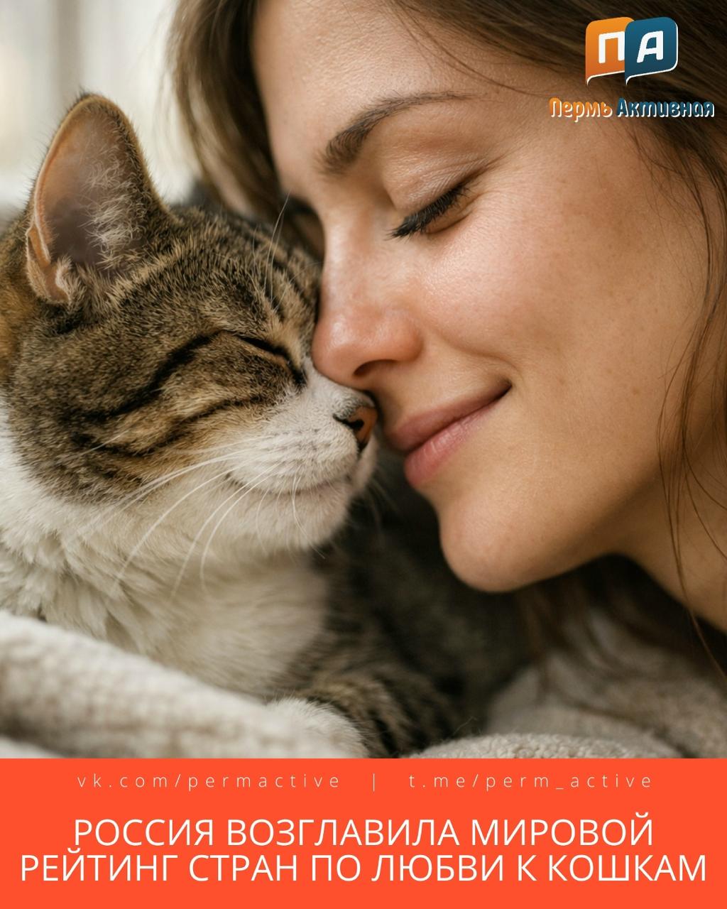 Россия возглавила мировой рейтинг стран по любви к кошкам По результатам опроса 59 жителей страны называют себя любителями этих пушистых питомцев это самый высокий показатель в мире Покажите своих кошек и котиков Подпишитесь на нас в ТГ MAX ВК Прислать материала