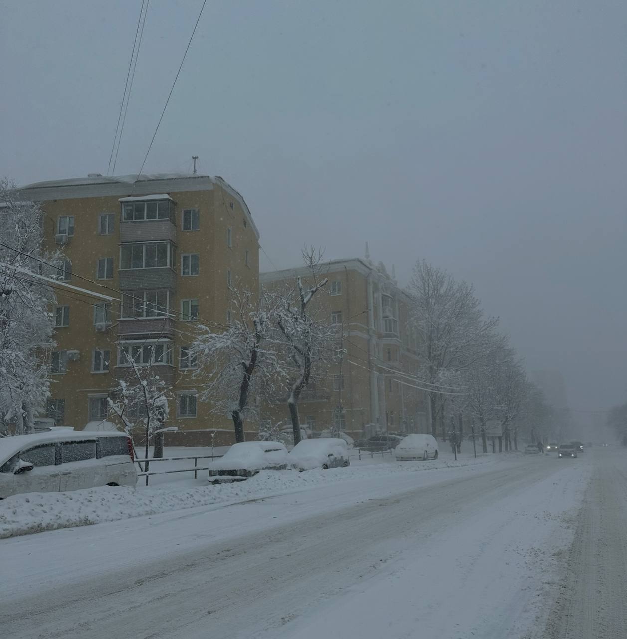 Новый год для Владивостока окажется бесснежным   Снега во Владивостоке не будет ни 21, ни 26 декабря и Новый год встретим без снега  «Увы. Холодная воздушная масса на протяжении всех оставшихся дней декабря будет оттеснять малоактивные циклоны к югу от Владивостока, не позволяя им задеть наш город даже своим краешком. Атмосферные фронты, с которыми может наблюдаться небольшой снег на севере края, над Владивостоком будут размываться. Поэтому Новый год для столицы округа окажется бесснежным, но с температурными качелям», – сообщили в Примгидромете.