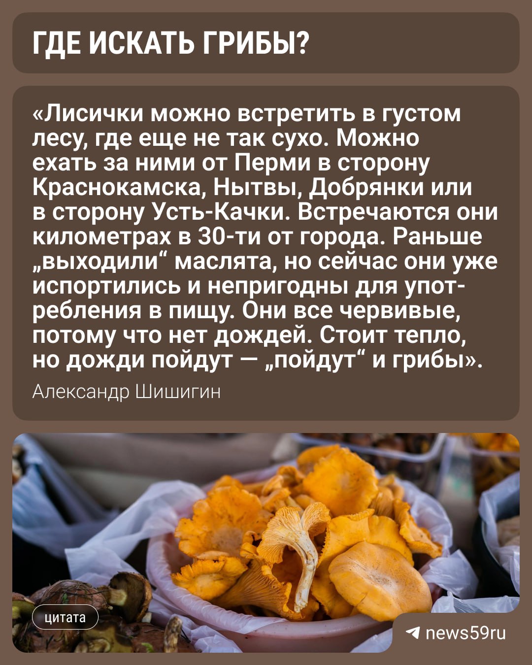После жары в пермских лесах высохли грибы — какие и где еще можно собрать?  Миколог Александр Шишигин рассказал, что сейчас в лесах можно встретить лисички, реже — подберезовики, подосиновики и сыроежки. В конце июля и начале августа ожидаются дожди, а следом за ними «придет» и следующая волна грибов, говорит ученый.  За грибами следует ехать в хвойные леса, но при этом избегать открытой местности, потому что там слишком жарко и сухо, поэтому вряд ли можно найти грибы. Надеяться на сбор рыжиков не придется: они либо испортились от сухой погоды, либо переросли. Но в глубине леса грибнику могут попасться сыроежки.  Если говорить о более дальних локациях, то грибникам стоит отправиться в сторону Ильинского. А пока из даров леса доступны в основном лишь ягоды.  Уже ходили на «тихую охоту»? Ставьте      Подписаться   Прислать новость