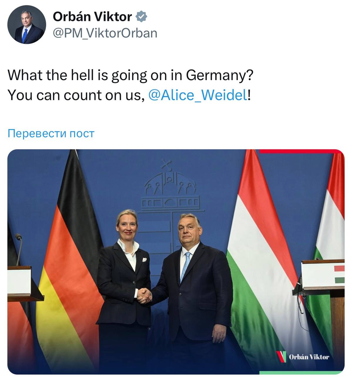 Венгерский лидер Виктор Орбан выразил поддержку немецкой партии AfD в свете текущих политических событий в Германии. Орбан заявил: "Что, черт возьми, происходит в Германии? Вайдель, ты можешь на нас рассчитывать!" Это заявление подчеркивает укрепление международных консервативных связей.