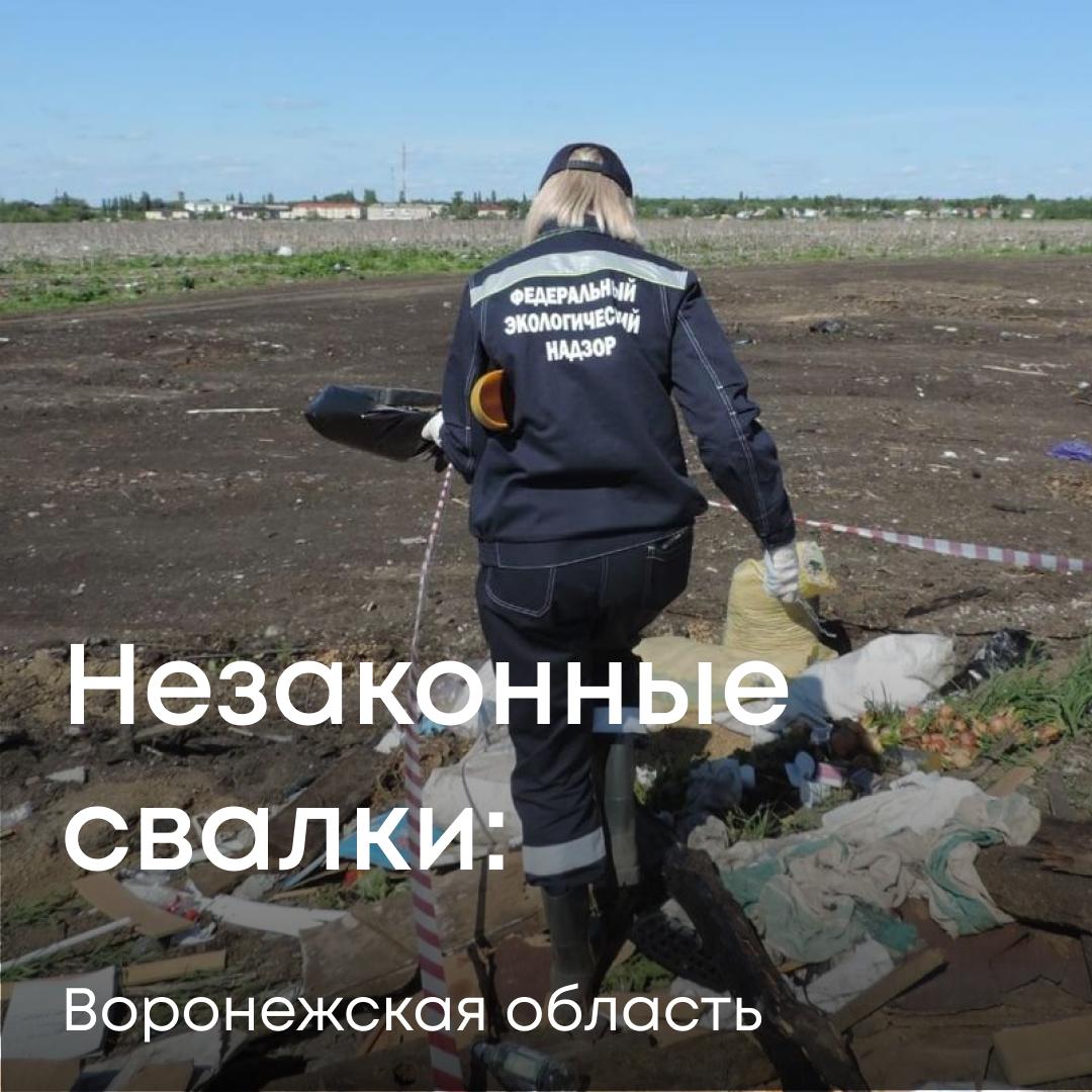 Специалисты Службы отреагировали на информацию в СМИ о несанкционированной свалке в Эртиле. В ходе обследования нарушение подтвердилось: на участке площадью 350 м² обнаружены отходы от уборки кладбищ, крупногабаритный мусор, ТКО, покрышки, полиэтиленовая тара и отходы, загрязненные нефтепродуктами. Проведены лабораторные исследования, на основе которых рассчитан экологический ущерб — он составил 10,6 млн рублей. В адрес администрации города Эртиль направлена претензия о добровольном возмещении вреда. Если средства не поступят, обратимся в суд.