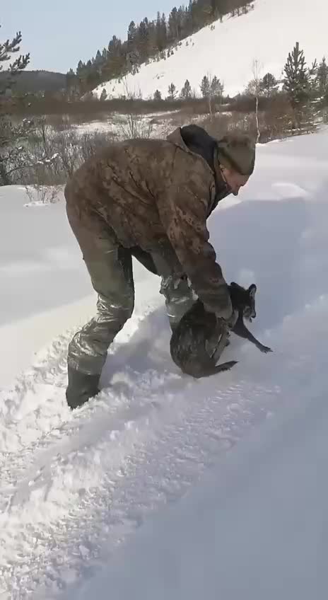 Инспекторы ООПТ помогают диким животным в зимний период