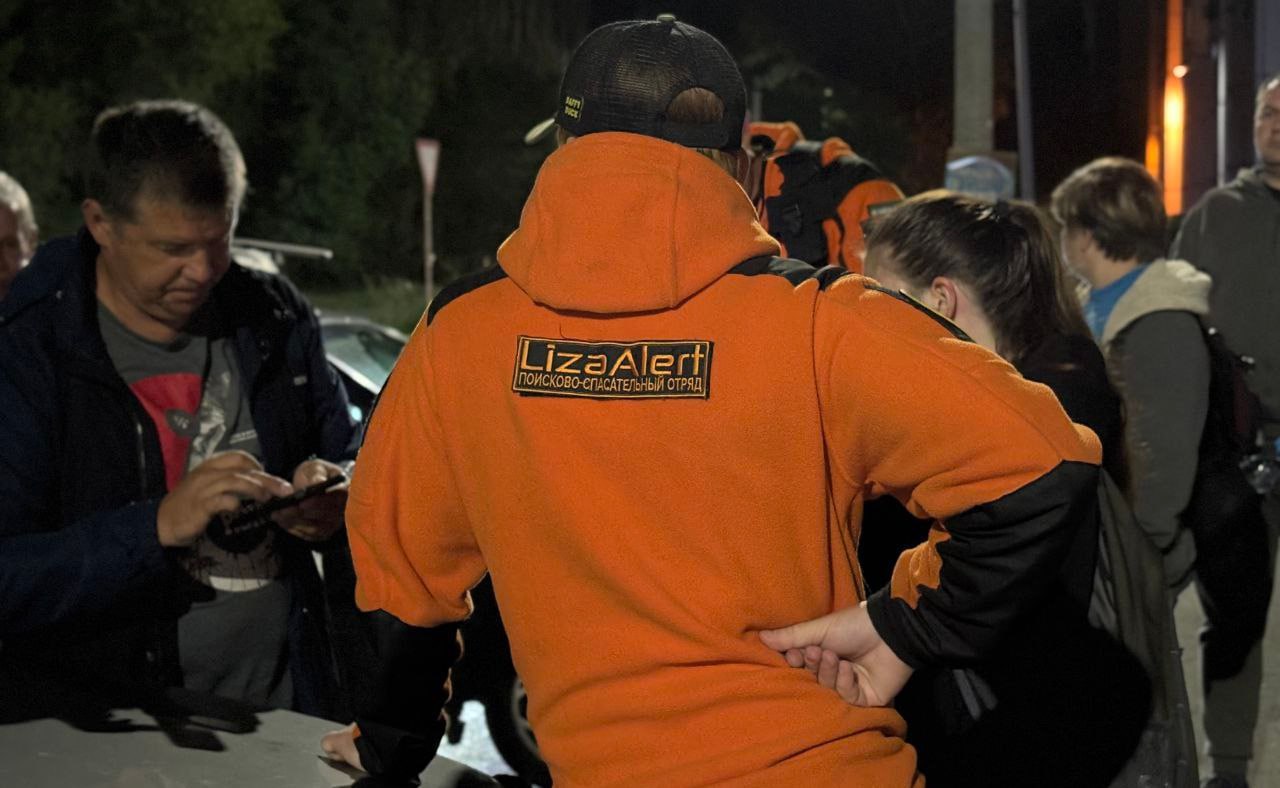 В Воронежской области за август без вести пропали 123 человека 91 из них удалось найти живыми Восемь заявок поступивших в ПСО ЛизаАлерт закрыли со статусом Найден погиб Поиск десяти человек до сих пор продолжается vrn aif ru incidents details v voronezhskoy oblasti za avgust bez vesti propali 123 cheloveka aifvrn