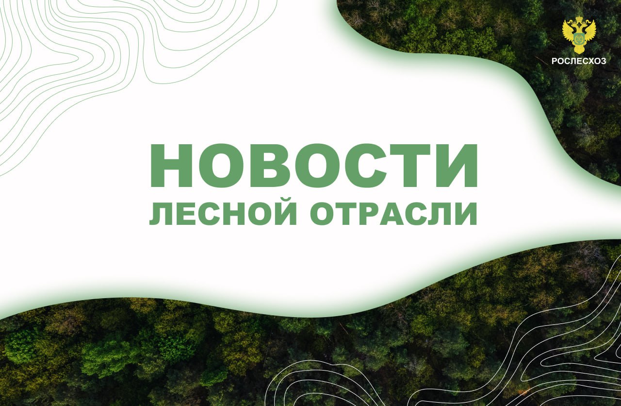 ТАСС: В Бурятии за сутки ликвидировали пять лесных пожаров на площади 4,8 тыс. га Московский Комсомолец: В Бурятии тушить пожары помогают специалисты из разных городов Интерфакс: Шесть лесных пожаров тушат в Томской области Московский Комсомолец: В Красноярском крае высадили пять миллионов молодых деревьев TOP24NEWS: В Рязанской области высадили более 890 га Новости Брянска: В Брянской области по нацпроекту восстановили лес на площади 21,5 тыс га Московский Комсомолец: На территории лесного фонда Тувы продолжаются обследования воспроизводства лесов