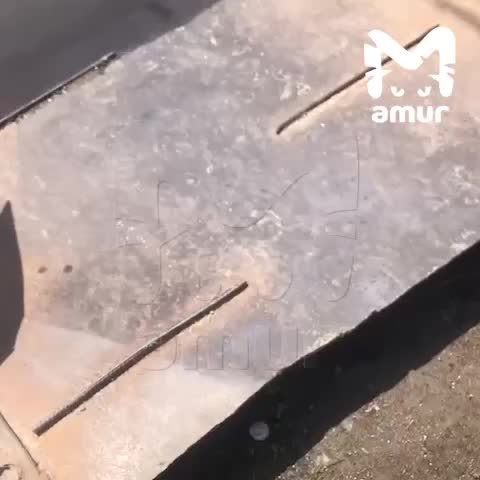 Ливни в Спасске-Дальнем приводят к подтоплению и разрушению моста