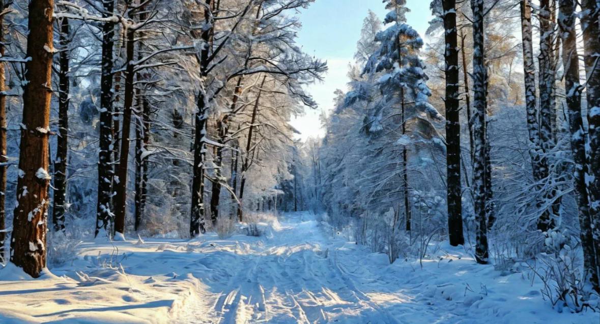 В лесах Подмосковья пройдут санитарные рубки временно ограничат проход и проезд Филиал Русский лес ГАУ МО Мособллес сообщает о проведении санитарно оздоровительных мероприятий в рамках региональной программы Здоровый и чистый лес Работы пройдут вблизи села Игумново г о Серпухов вблизи села Хатунь г о Ступино Санитарные рубки назначены по итогам лесопатологического обследования Их цель восстановление здоровья леса предотвращение распространения вредителей и опасных заболеваний а также повышение пожарной безопасности  Важно на время проведения работ проход и проезд в лес будет временно ограничен Это необходимо для безопасности граждан Просим отнестись с пониманием к временным мерам они направлены на сохранение и восстановление наших лесов лес лесничество Мособлкомлес Подписывайтесь на наш канал в МАХ