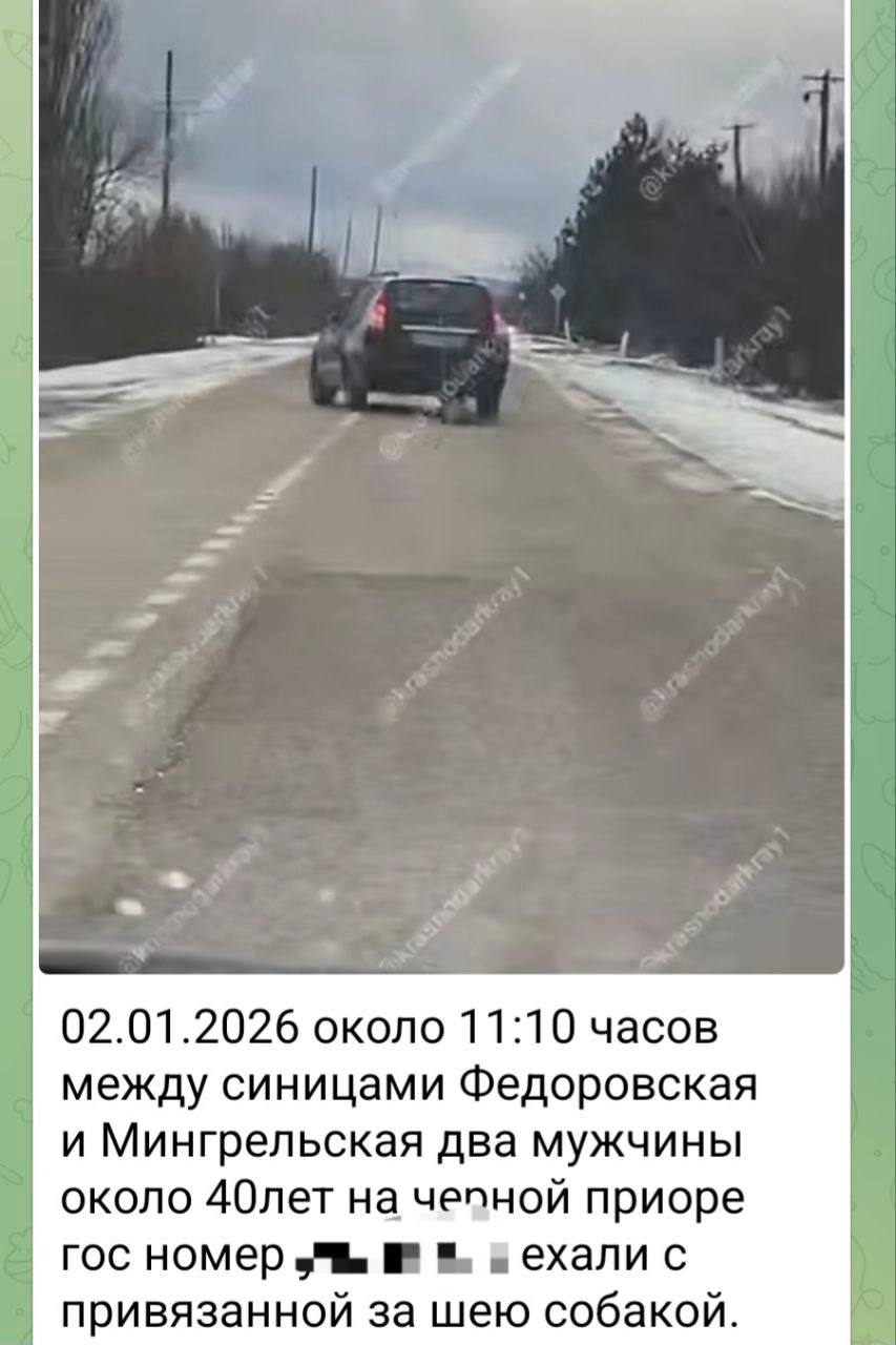 В Абинском районе проверяют историю о жестоком обращении с собакой В сети появился пост где утверждается что водитель привязал собаку к машине и тащил её по дороге Информацией заинтересовалась полиция сейчас разбираются что произошло на самом деле При этом заявлений или обращений в полицию по этому поводу пока не поступало Кубанские Новости   Мы в MAX