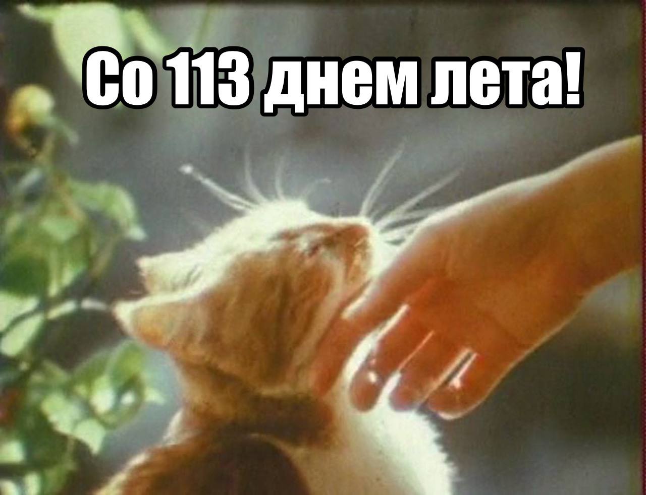 Москву накрыло летом в сентябре синоптики обещают жару под 27 градусов Научный руководитель Гидрометцентра Роман Вильфанд объявил что воскресенье понедельник и вторник в столице будут настолько теплыми что москвичи начнут искать отпускные чемоданы Температура поднимется до 24 27 градусов прямо как в разгаре июля Синоптики скромно умалчивают не арендовало ли московское небо жару у Сочи на эти три дня Подпишитесь на Абзац Добавьте Абзац в ленту Дзена