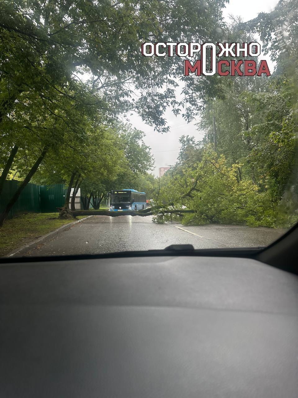 На северо-западе Москвы перекрыли улицу из-за упавшего дерева. Движение транспорта полностью перекрыто на улице Паршина из-за упавшего дерева на проезжую часть. Об этом предупредила столичная Госавтоинспекция. Рекомендовано выбирать пути объезда. Upd движение восстановили.