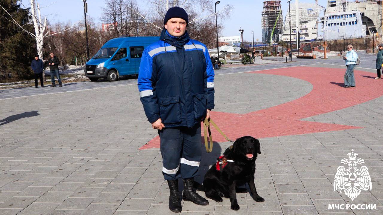 В Кемерове состоялся первый в России марш служебных собак  В Парке Победы имени Г.К. Жукова прошло торжественное мероприятие, в котором участвовали служебные собаки подразделений МЧС России, Росгвардии и ГУФСИН России. Особое внимание было уделено питомцам, отличившимся при выполнении задач в зоне специальной военной операции. Питомцы и их наставники были удостоены награждения ведомственными знаками отличия, а также общественным вниманием присутствующих.   ‍ Среди почетных гостей был кинологический расчет Кемеровской областной поисково-спасательной службы государственного казенного учреждения «Агентство по защите населения и территории Кузбасса» в составе спасателя-кинолога Карпича Романа Игоревича и служебной собаки Гоктай Антареса – Рика, породы лабрадор-ретривер.   За время работы кинологический расчет более 130 раз участвовал в проведении поисково-спасательных мероприятий на территории Кемеровской области - Кузбасса, при этом неоднократно использовался как основное средство поиска пострадавших. Благодаря их слаженной работе спасены сотни человеческих жизней, среди них десятки несовершеннолетних детей.   Вокруг служебных собак собралось множество зрителей, желающих сфотографироваться и погладить пушистых помощников. Лабрадор Рик не стал исключением и был удостоен приза зрительских симпатий.