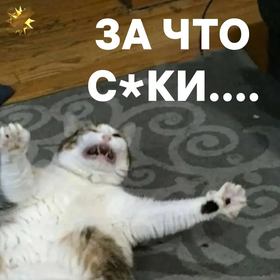 Кошки в России массово страдают от астмы Ветеринары бьют тревогу из за увеличения количества животных с диагностированной астмой Основные причины освежители воздуха и диффузоры которые являются мощнейшим аллергеном для хвостатых   здоровье котиков важнее ароматов НМШ