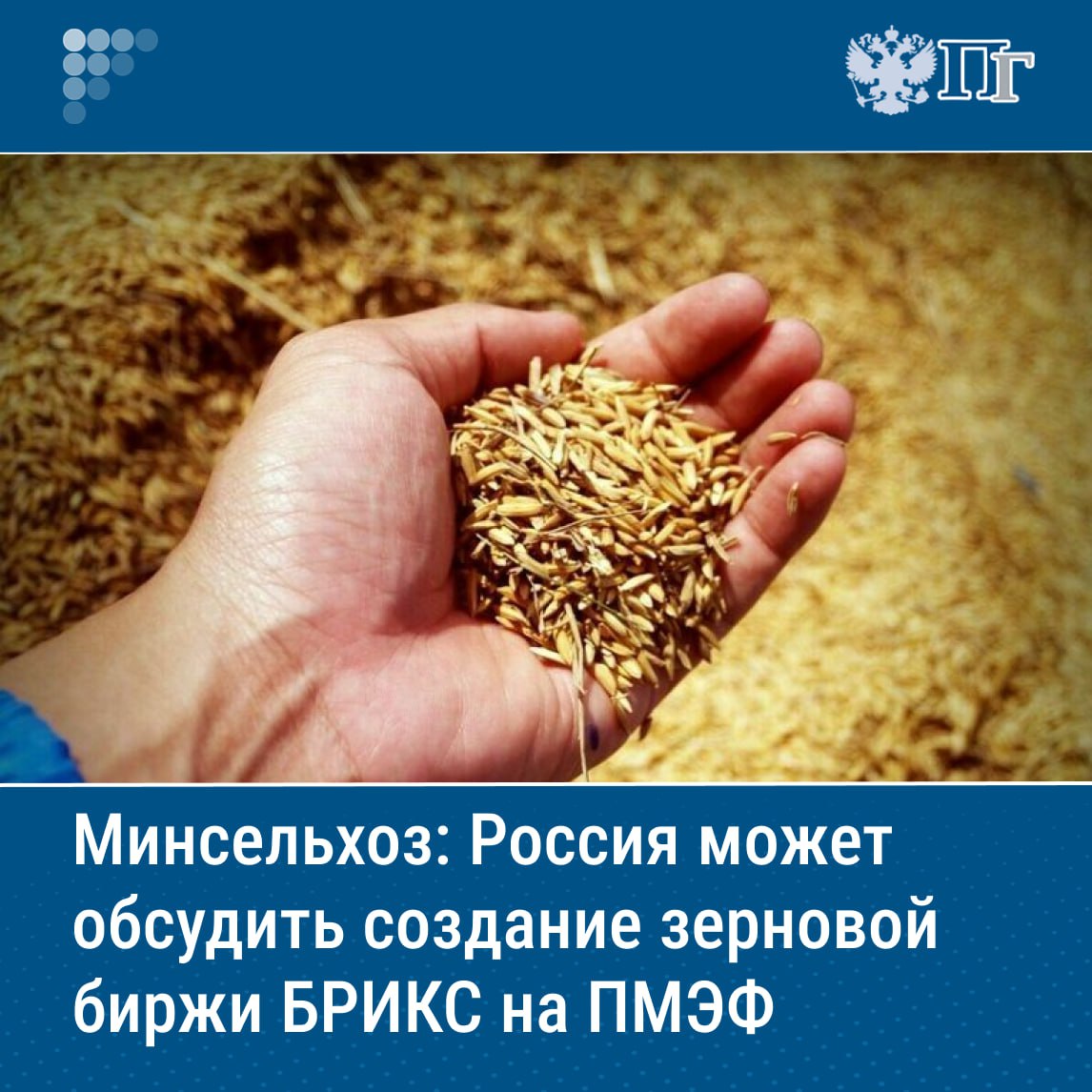 Участники Петербургского международного экономического форума, который пройдет в июне, могут обсудить вопрос создания зерновой биржи БРИКС. Об этом 5 мая на мероприятии в Северной Осетии сообщила журналистам министр сельского хозяйства РФ Оксана Лут. «В мае мы должны прийти к решению о том, по какому из подходов двигаться, и очень надеемся, что в июне, может быть, на Питерском форуме сможем обсудить этот вопрос уже с нашими иностранными партнерами, которые входят в БРИКС», — отметила министр. Подписаться на «Парламентскую газету»
