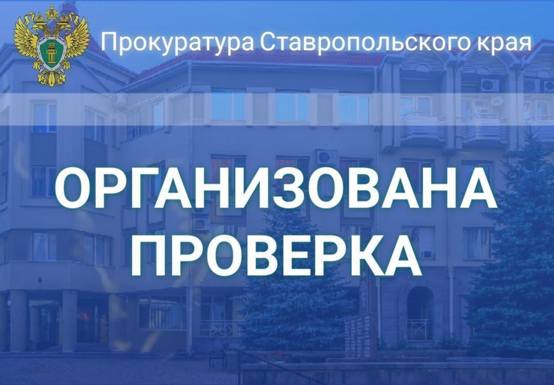 Прокуратурой края организована проверка по факту нарушения общественного порядка на кладбище в Советском округе   Установлено, что 29.04.2025 на одном из кладбищ г. Зеленокумска сотрудниками полиции выявлен факт нарушения группой лиц административного законодательства, выразившегося в распитии спиртных напитков в общественном месте.   В ходе сбора административного материала пятью гражданами оказано противодействие, сотрудникам правоохранительных органов причинены телесные повреждения.   По данному факту следственным органом возбуждено уголовное дело по ч. 2 ст. 318 УК РФ  применение насилия в отношении представителя власти, опасного для жизни или здоровья .     Ход и результаты расследования на контроле в прокуратуре.