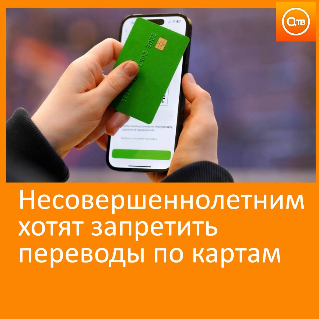Речь идет о суммах свыше 100 тыс. рублей в месяц. Такой же лимит предлагают установить и для получения наличных. В "Народном фронте" считают, что это поможет уберечь подростков от вовлечения в дропперские схемы по обналичиванию средств, полученных преступных путем. Также общественники предлагают разработать для банков "методичку", по которой можно будет определить, не производят ли с картой несовершеннолетнего мошеннические действия.
