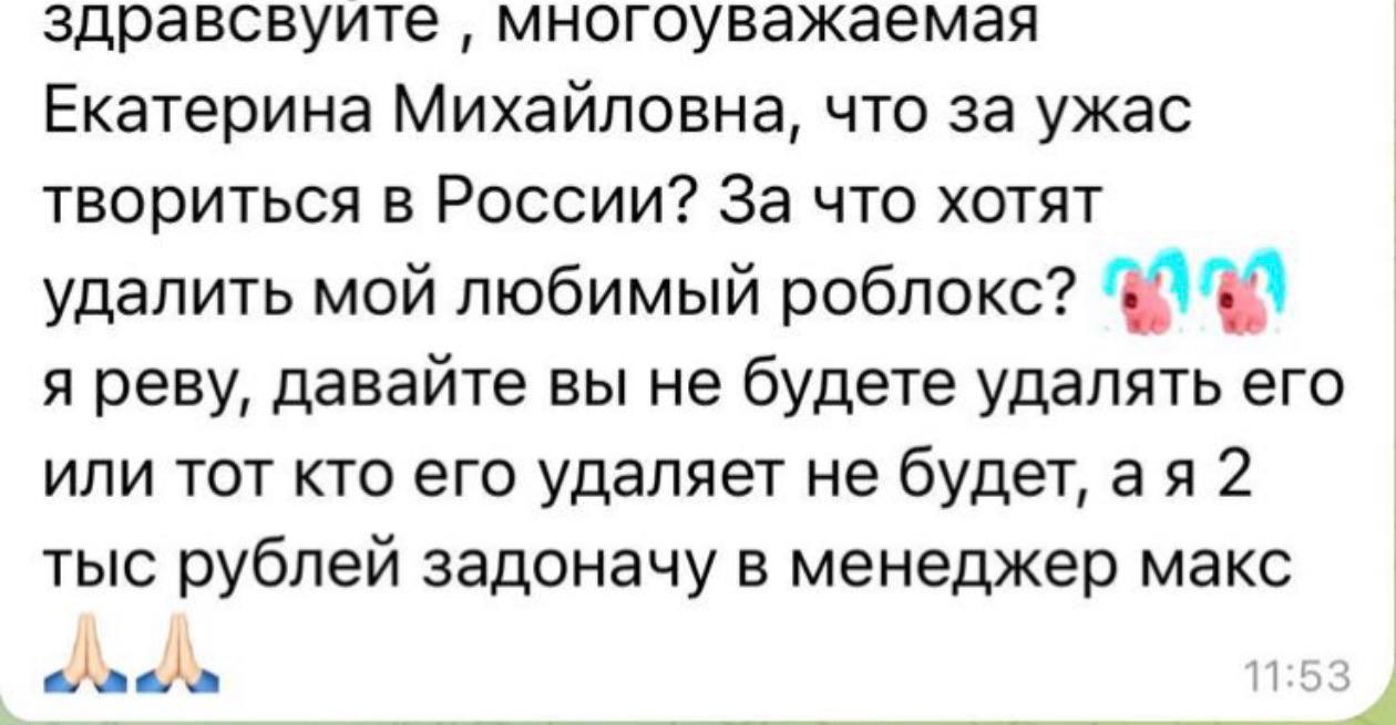 Школьники в России готовы к радикальным решениям ради возвращения заблокированного в России Roblox