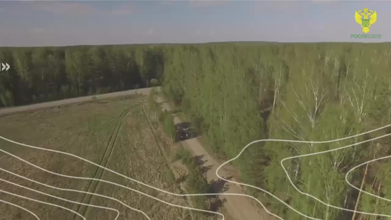 В Приамурском зоосаде и Поморье открыли памятные знаки и высадили деревья в рамках акции «Сад Памяти»