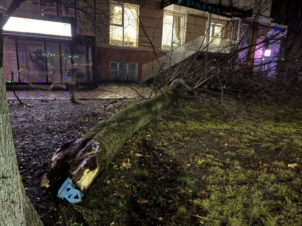 В Туле на проспекте Ленина упало дерево     В Туле на проспекте Ленина, 66 дерево упало прямо рядом с домом. Об этом в нашу редакцию сообщили очевидцы.  ↗  Прислать новость   Подписаться