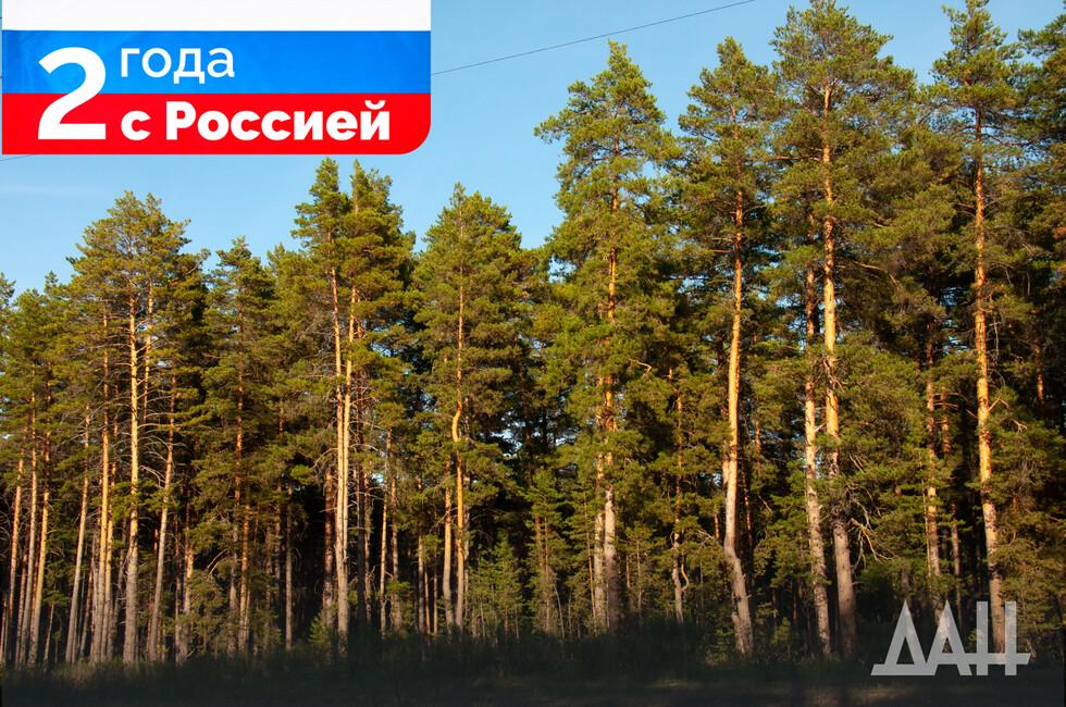 В Донбассе и Новороссии подготовят план освоения лесов на 10 лет   Лесные планы и регламенты лесничеств воссоединенных регионов планируется разработать в 2025 году. Об этом сообщили в пресс-службе Федерального агентства лесного хозяйства.   «На 2025 год запланирована разработка лесных планов, лесохозяйственных регламентов лесничеств. Лесной план субъекта является основным документом лесного планирования, в котором будут определены цели и задачи лесного планирования, а также мероприятия по планируемому освоению лесов и зоны такого освоения на 10 лет», — сказано в сообщении.  Отмечается, что в исторических субъектах завершается лесоустройство, что предполагает установление границ лесничеств, лесных кварталов и земель с защитными лесами, установить их категории и площади. По итогу работы будут определены особо защитные участки леса. Ведется подготовка лесоустроительной документации, включая картографические материалы в электронном виде. ДАН писал, что ДНР первой из воссоединенных регионов урегулировала лесные отношения. Речь идет о принятии в июне закона об особенностях регулирования лесных отношений. Сейчас завершается процедура согласования аналогичных правовых актов в ЛНР, Запорожской и Херсонской областях.