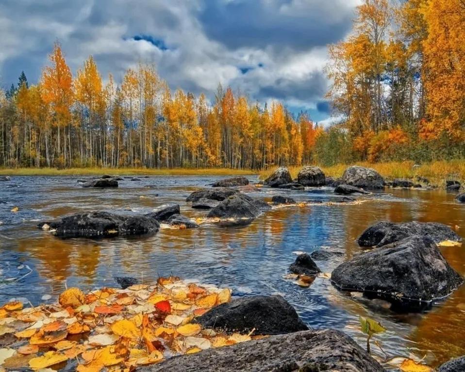 Эксперты рассказали, куда поедут туристы за красивыми осенними фотографиями  Эксперты рассказали, что спрос на загородные места размещения теплой осенью за год удвоился и назвали самые популярные локации, сообщает национальный туроператор "Алеан".  Подмосковье  Самое востребованное направление – Подмосковье. Его выбирают 46 процентов пользователей. Туристы останавливаются в объектах с развитой инфраструктурой, глэмпингах, экоотелях в лесопарковых зонах. За красивыми осенними фотосессиями также едут в подмосковные усадьбы Валуево, Архангельское, Мелихово.  Горный Алтай Этот регион выбирает 15 процентов путешественников. Один из самых фотогеничных локаций Горного Алтая — водоемы в обрамлении гор и пожелтевших лесов - Гейзерное озеро, Манжерок, Телецкое. Интересуют туристов и уникальные природные явления: осенью река Катунь мелеет, и в ее русле образуются так называемые Голубые озера — "глаза Катуни". Кроме того, в этот период отчетливо видна граница слияния рек Катуни и Чуи, что также привлекает путешественников.  Карелия Осень в Карелии — это рыбалка на озерах, тихая охота за грибами и ягодами, прогулки по лесу. Путешественники бронируют глэмпинги и дома отдыха в живописных, удаленных от цивилизации уголках региона. Отдых в регионе выбирает 11 процентов туристов.  Золотое кольцо Среди городов Золотого кольца осенью особенно популярен Плес, вдохновивший Исаака Левитана на серию пейзажей. В городе работает дом-музей художника, где хранятся его личные вещи и картины. Соборная гора — главная смотровая площадка Плеса, — откуда открывается вид на Волгу и достопримечательности города.  Адыгея В республике множество смотровых площадок для любителей красивых видов: например, "Парящая над пропастью" беседка в Даховском поселении, откуда можно увидеть плато Лаго-Наки, или смотровая площадка у Большой Азишской пещеры, где можно запечатлеть горную панораму.