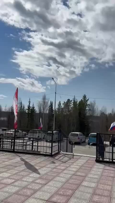 Жители Железногорска-Илимского и Башкирии запечатлели диких животных на видео