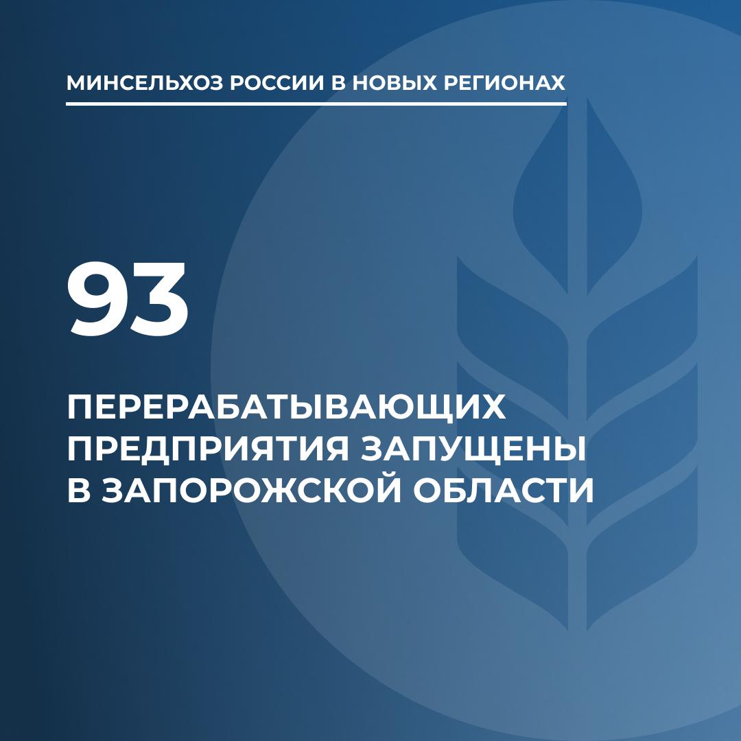 ‼ В Запорожской области запущены более 65% перерабатывающих предприятий  Агропромышленный комплекс Запорожской области при условии выхода на полную проектную мощность может полностью обеспечить регион мукой, хлебом, подсолнечным маслом и другими продуктами питания. Об этом заявили в Министерстве сельского хозяйства России.  Перерабатывающая отрасль региона представлена 140 предприятиями, из них запущено 93, что составляет свыше 65% от проектной мощности. По итогам 2024 года сельхозкомпании произвели:   55,4 тыс. тонн подсолнечного масла;   22,1 тыс. тонн молока, сливочного масла, творога и кисломолочных продуктов;   18,9 тыс. тонн хлеба и хлебобулочных изделий;   11,6 тыс. тонн мясных полуфабрикатов, колбас, сосисок, деликатесов.