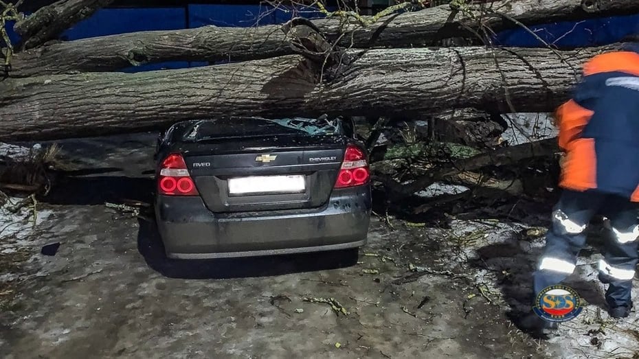 Дерево упало на Chevrolet в деревне Новая Быковка  ЧП произошло вчера у дома №56. Дерево распилили с помощью бензопилы. Затем его сняли с крыши авто.   Все обошлось без пострадавших.    Подписаться   Написать в редакцию