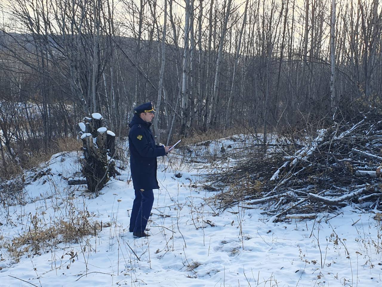 В Солнечном районе по материалам прокурорской проверки возбуждено уголовное дело о незаконной рубке лесных насаждений  Прокуратура Солнечного района провела проверку соблюдения лесного законодательства.   Установлено, что работник ООО «Тайга» вопреки указаниям руководства, не имея соответствующего разрешения, самовольно выехал на бульдозере в лесной массив в Снежном участковом лесничестве Горинского лесничества, повредив 41 дерево и создав не предусмотренный документами об освоении территории проезд.  В результате неправомерных действий лесному фонду причинен ущерб на сумму свыше 33 тыс. рублей.   Материалы прокурорской проверки направлены в орган дознания, по результатам их рассмотрения возбуждено уголовное дело по ч. 1 ст. 260 УК РФ  незаконная рубка лесных насаждений .  Расследование уголовного дела находится на контроле прокуратуры.