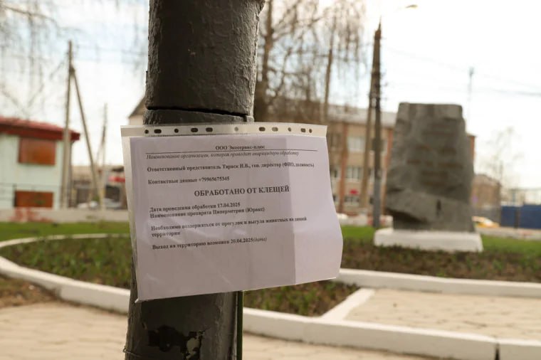 За неделю клещи покусали свыше 100 туляков В их числе и 25 детей. Вообще с начала марта региональный Роспотребнадзор зафиксировал 167 случаев присасывания клещей. Этот показатель выше прошлогоднего на 8,4%. Чаще всего факты «нападений» регистрируются: на придомовых территориях — 44,3%, в садово-огородных товариществах — 25,7%, при посещении лесов — 10,2%. Общая инфицированность бореллиями составила 11,8%.