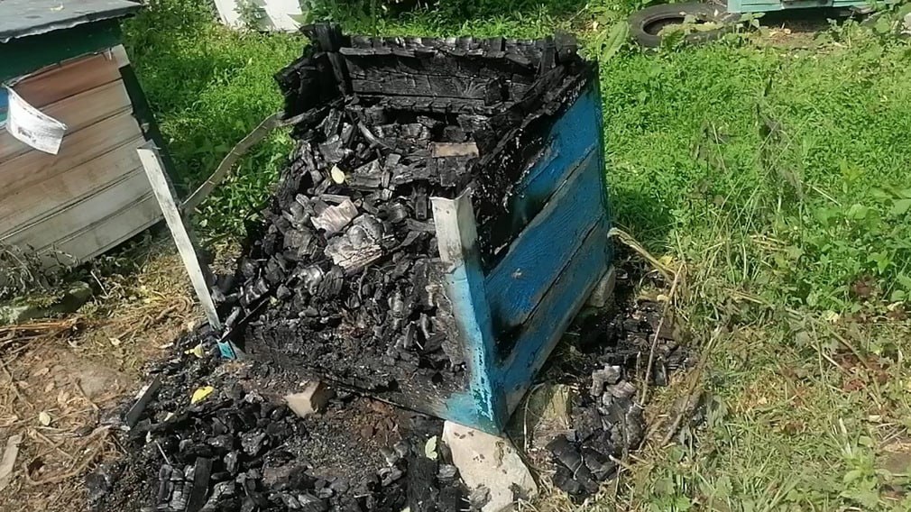 В Рогнединском районе Брянской области в середине июня произошел инцидент. Ночью неизвестный поджог пасеку. Пламя уничтожило два улья с пчёлами, еще пять ульев получили повреждения. Согласно предварительной оценке, сумма ущерба, причиненного владельцу пасеки, составила несколько десятков тысяч рублей.   Сотрудники уголовного розыска полиции нашли доказательства того, что к злодеянию причастна 30-летняя местная жительница. Согласно версии следствия, женщина была уверена, что пчёлы могут угрожать безопасности ее семьи.   По факту случившегося возбуждено уголовное дело. Женщине придется отвечать по статье 167 Уголовного кодекса РФ «Умышленные уничтожение или повреждение имущества».  Фото: пресс-служба УМВД России по Брянской области.