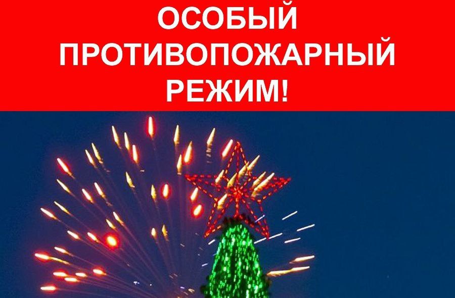 На период новогодних и рождественских праздников постановлением Правительства Иркутской области №1128-пп от 26 декабря 2024 года введен особый противопожарный режим.   С 27 декабря до 13 января действует запрет на применение пиротехнических изделий вне мест  площадок , специально определенных органами местного самоуправления муниципальных образований региона, а также вне мест, на которых применение пиротехники не запрещено законодательством.  Запрещено применять пиротехнику при нахождении людей, животных, материальных ценностей на расстоянии меньшем, чем указано в инструкции к ней.  Проводятся выездные обследования мест хранения и реализации пиротехнических изделий, осуществляется выборочный контроль в отношении продавцов и поставщиков такой продукции.  Не допускается проведение праздничных мероприятий на объектах, имеющих нарушения требований пожарной безопасности, в том числе при отсутствии  неработоспособности  систем пожарной автоматики, вывода сигнала на пульт пожарных подразделений. Проводятся беседы и инструктажи с организаторами массовых мероприятий.  Усилена профилактическая работа с доведением до граждан информации об оперативной обстановке с пожарами и мерах, принимаемых для их предотвращения