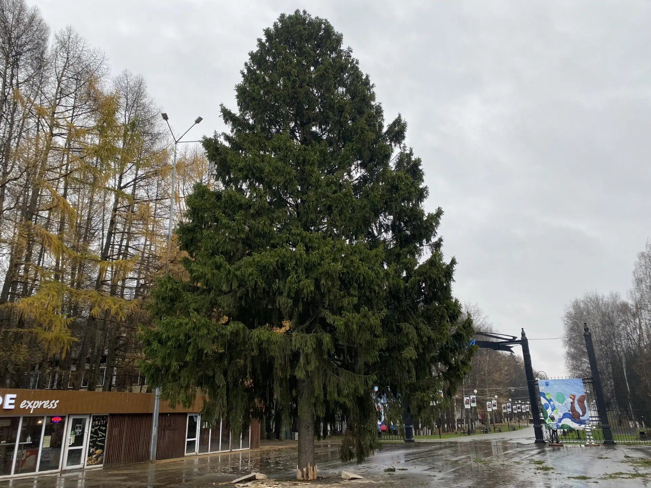 Почти за два месяца до Нового года в Уфе уже установили первую елку На входе в парк Волна в Затоне Фото администрация Ленинского района Уфы