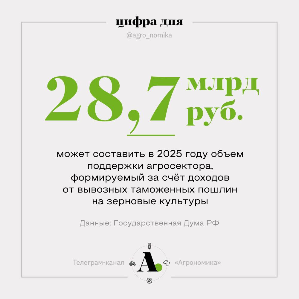 В два раза может снизиться объем поддержки аграриев, формируемый из доходов от экспортных пошлин на зерно и аукционов по крабовым квотам. Такая информация содержится в проекте поправок к федеральному бюджету на 2025 год, внесенном Правительством РФ в Госдуму. В пункте 17 статьи 21 документа в новой редакции бюджета предлагается заменить слова "в объеме до 53 352 578,1 тыс. рублей" на "в объеме до 28 676 412,3 тыс. рублей". Таким образом, объем господдержки, полученный аграриями от экспортных пошлин на зерно в 2025 году составит 28,7 млрд рублей вместо прежних 53,4 млрд рублей. Речь идет о деньгах, собираемых от экспорта зерновых за пределы стран-участниц Таможенного союза. Средства зарезервированы по подразделу "Сельское хозяйство и рыболовство" раздела "Национальная экономика" и могут быть использованы по решению Правительства РФ. Объем господдержки сельского и рыбного хозяйства за счет доходов от продажи крабовых квот будет сокращен более чем в пять раз: с 2,5 млрд рублей до 430 млн рублей. На 2026 и 2027 годы объемы по крабовым квотам сохранены на уровне 4,8 млрд рублей и 3,9 млрд рублей. Болезненное решение для агросектора, которое нарушает хрупкий консенсус по экспортной квоте, сложившийся за последние годы, суть которого заключалась в том, что значимая часть средств, собранных с агросектора, должна возвращаться в отрасль. ™ Агрономика