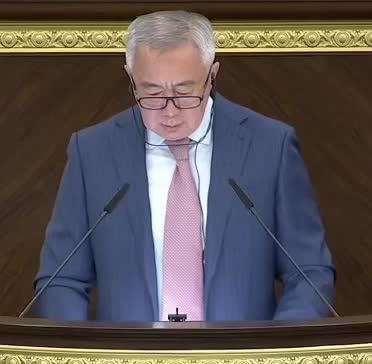 Вице-премьер Жумангарин объяснил изменения в декларации для покупок на зарубежных маркетплейсах