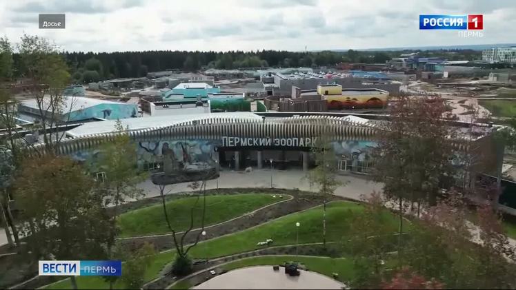 На территории нового зоопарка введены в эксплуатацию ещё восемь зданий На территории нового пермского зоопарка введены в эксплуатацию ещё восемь зданий. Об этом сообщает Минстрой Пермского края. В ближайшее время объекты будут переданы в управление зоопарка для лицензирования и подготовки к заселению животных. Среди новых сооружений – вольеры с павильонами для кенгуру, эму, мангустов и капского дамана. Кроме того, завершено строительство технических зданий, необходимых для функционирования зоопарка: дезбарьера, поста охраны на восточном въезде, гаража, мастерских и системы водоподготовки водоёмов.