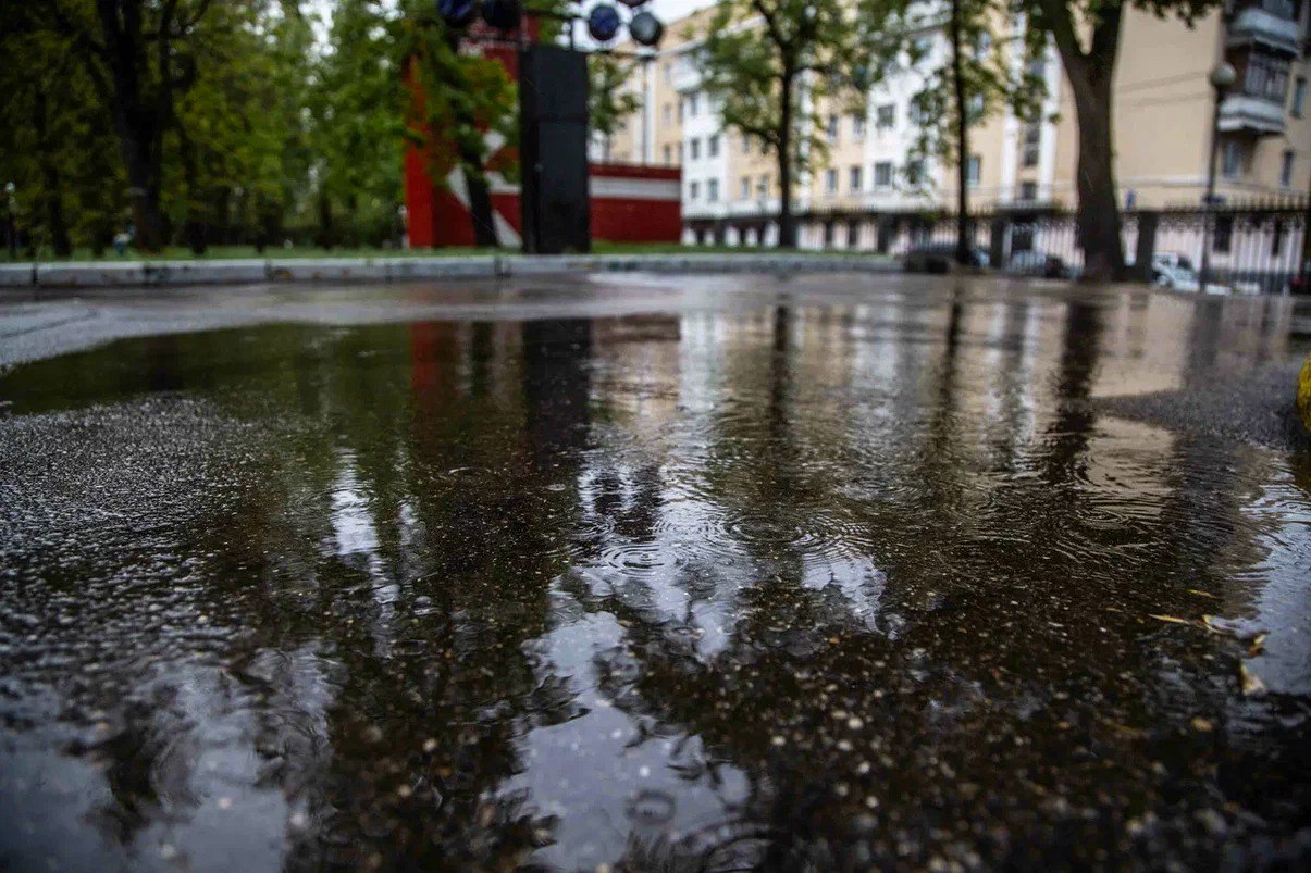 Жители Мытищ возмутились матери, разрешившей младенцу купаться в луже Поступок матери, позволившей своему ребенку играть в луже, вызвал недовольство жителей подмосковных Мытищ. Об этом сообщает Telegram-канал «Осторожно, Москва». Пресс-служба уведомляет, что по словам очевидцев, утром возле филиала университета Баумана была замечена женщина с коляской, которая расположилась рядом с большой лужей. Мать находилась по одну сторону «берега», а младенец — по другую. Видео инцидента опубликовал…