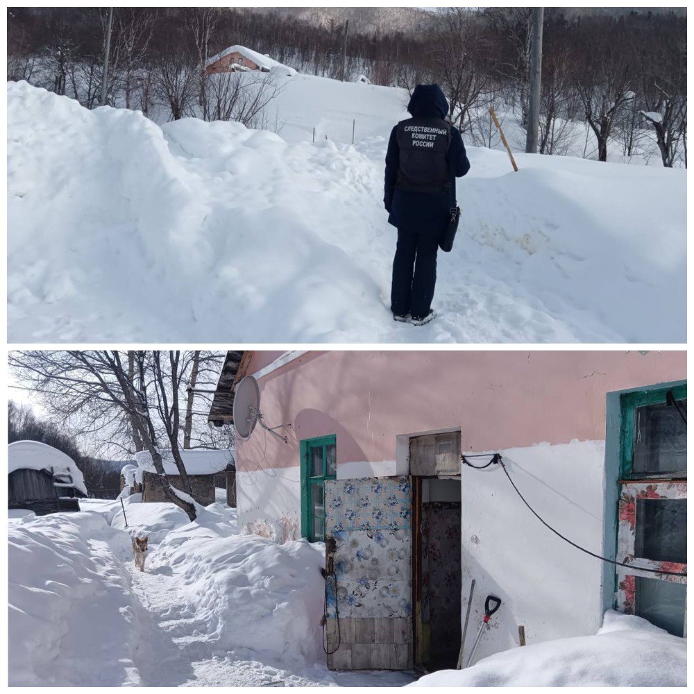 До двух лет тюрьмы может получить сахалинка, чьи собаки насмерть загрызли женщину Трагедия произошла в феврале этого года в селе Ожидаево Холмского муниципального округа. Как выяснили следователи, в тот злополучный день 64-летняя владелица двух собак оставила их на улице без присмотра и без намордников. Звери напали на 43-летнюю женщину и сильно искусали её. После этого обвиняемая занесла искалеченную односельчанку к себе в дом, осмотрела её, но не приняла никаких мер. Впоследствии женщина скончалась от кровопотери. Ранее мы писали, что в Ожидаево проживало всего двое человек, включая потерпевшую, и отсутствовала телефонная связь. Теперь хозяйка животных обвиняется в причинении смерти по неосторожности и в заведомом оставлении без помощи лица, находящегося в опасном для жизни или здоровья состоянии ч.1 ст. 109, 125 УК РФ . Уголовное дело направлено в суд. Женщине грозит до двух лет лишения свободы, уточнили в областной прокуратуре. ——— : Прислать нам новость: