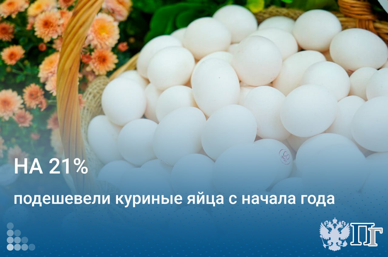 Стоимость куриных яиц с 10 по 16 июня снизилась на 1,8%, а с начала года — почти на 21%, согласно данным Росстата. Также с 10 по 16 июня снизились цены на баранину -0,6% , сосиски, сардельки, сливочное масло, сахар-песок -0,3% , рис и маргарин -0,2% , молоко, подсолнечное масло, детское питание, пшеничную муку, поваренную соль -0,1% . Цены на плодоовощную продукцию упали в среднем на 0,2%: белокочанная капуста — на 4,5%, помидоры — на 1,7%, бананы — на 0,7%, репчатый лук — на 0,6%. Однако столовая свекла подорожала на 2,5%, морковь — на 2,4%, огурцы — на 1,4%, яблоки — на 1,3%. Подписаться на «Парламентскую газету»