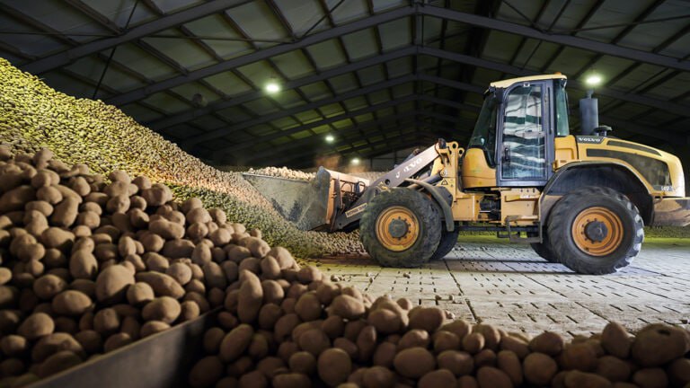 В Германии из за рекордного урожая бесплатно раздают картофель Немцев призывают разбирать излишки после самого большого сбора корнеплода за последние 25 лет Местные СМИ назвали это картофельным потопом По данным официальной статистики в среднем каждый немец съедает 63 килограмма картошки за год Два грузовика с картофелем отправили на Украину в качестве гумпомощи Несколько тонн забрал Берлинский зоопарк для переработки на корм животным пишет RTVI Более качественная картошка была передана столовым для бездомных детским садам школам церквям и некоммерческим организациям Подписаться на Говорит Москва Telegram VK MAX